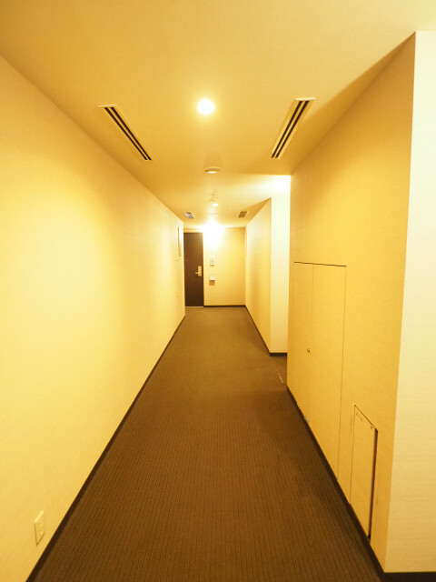 Slide 1