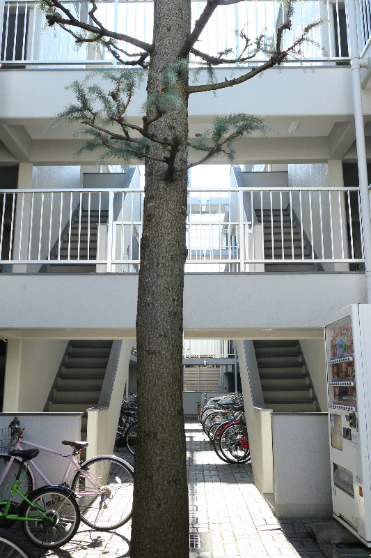 物件写真14