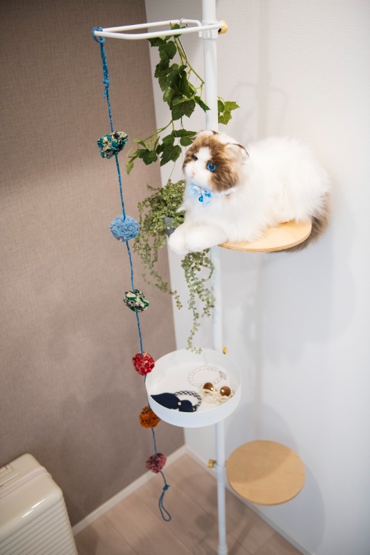 物件写真11